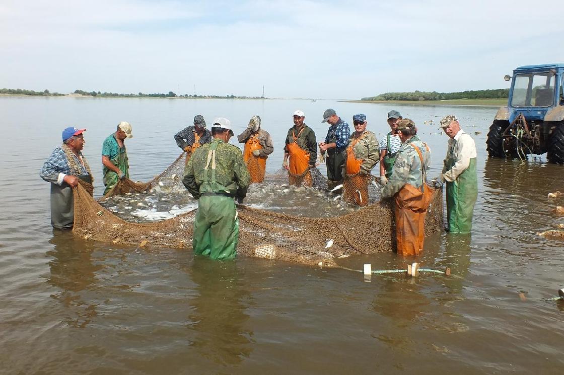 Астраханская область сохраняет славу рыбацкого края