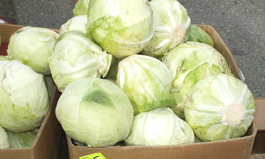 Советы астраханцам: уборка овощей продолжается