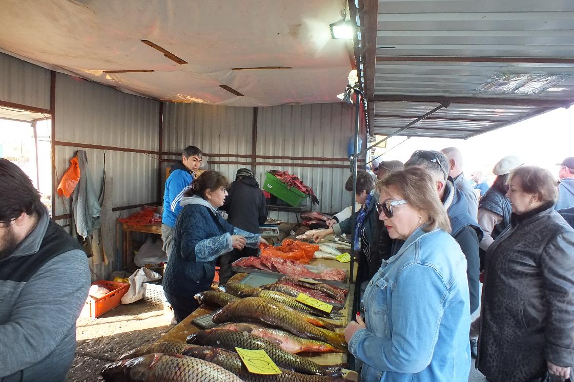 Откуда "приплыла" рыба на астраханские рынки