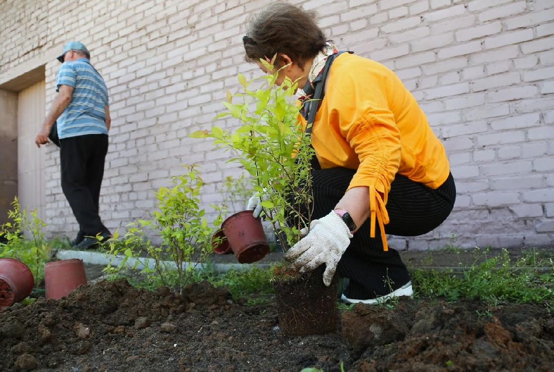 Астраханцы присоединятся к Всероссийскому субботнику «Зелёная Россия»