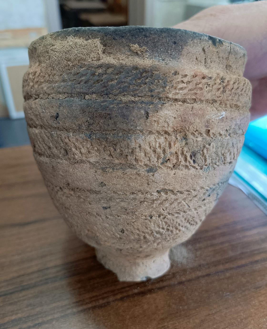 В Волго-Ахтубинской пойме обнаружена уникальная археологическая находка 