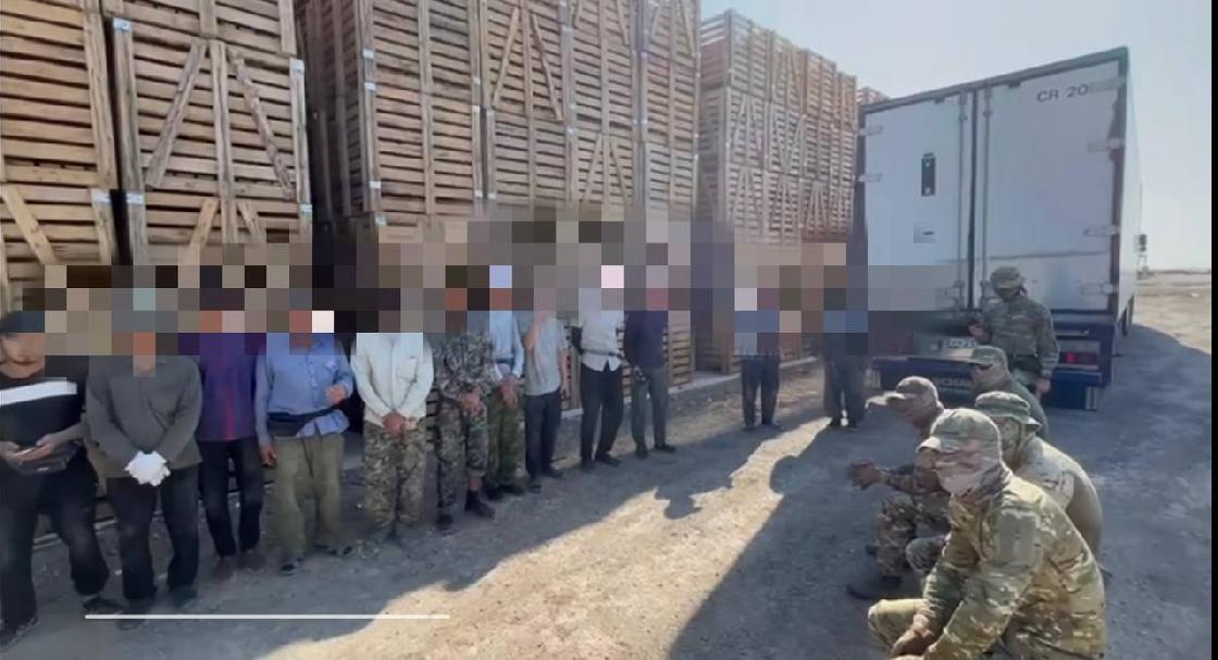 Нелегальных мигрантов нашли на ферме в Астраханской области